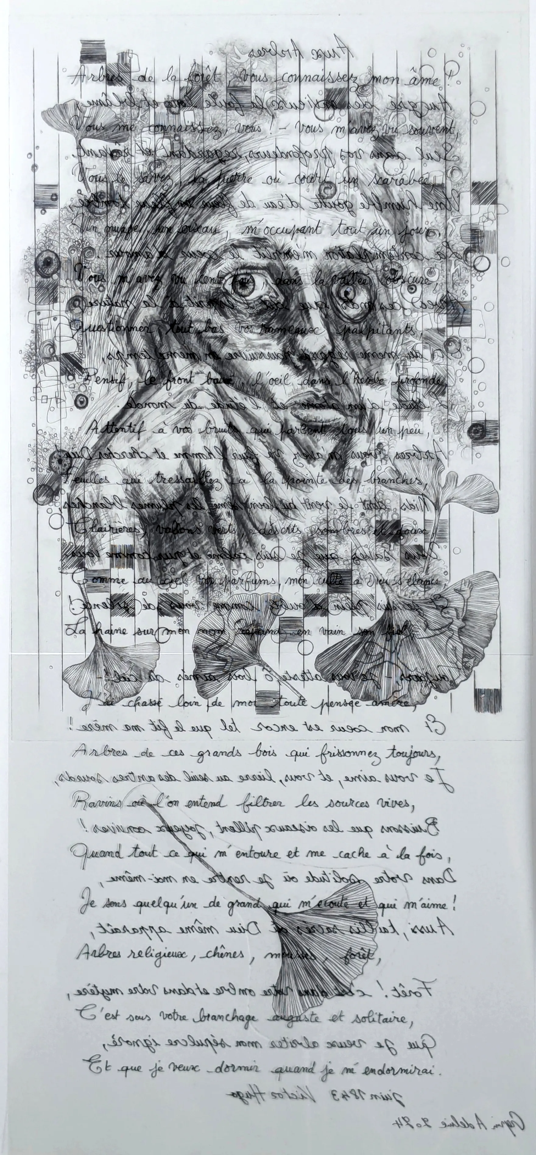 Aux arbres