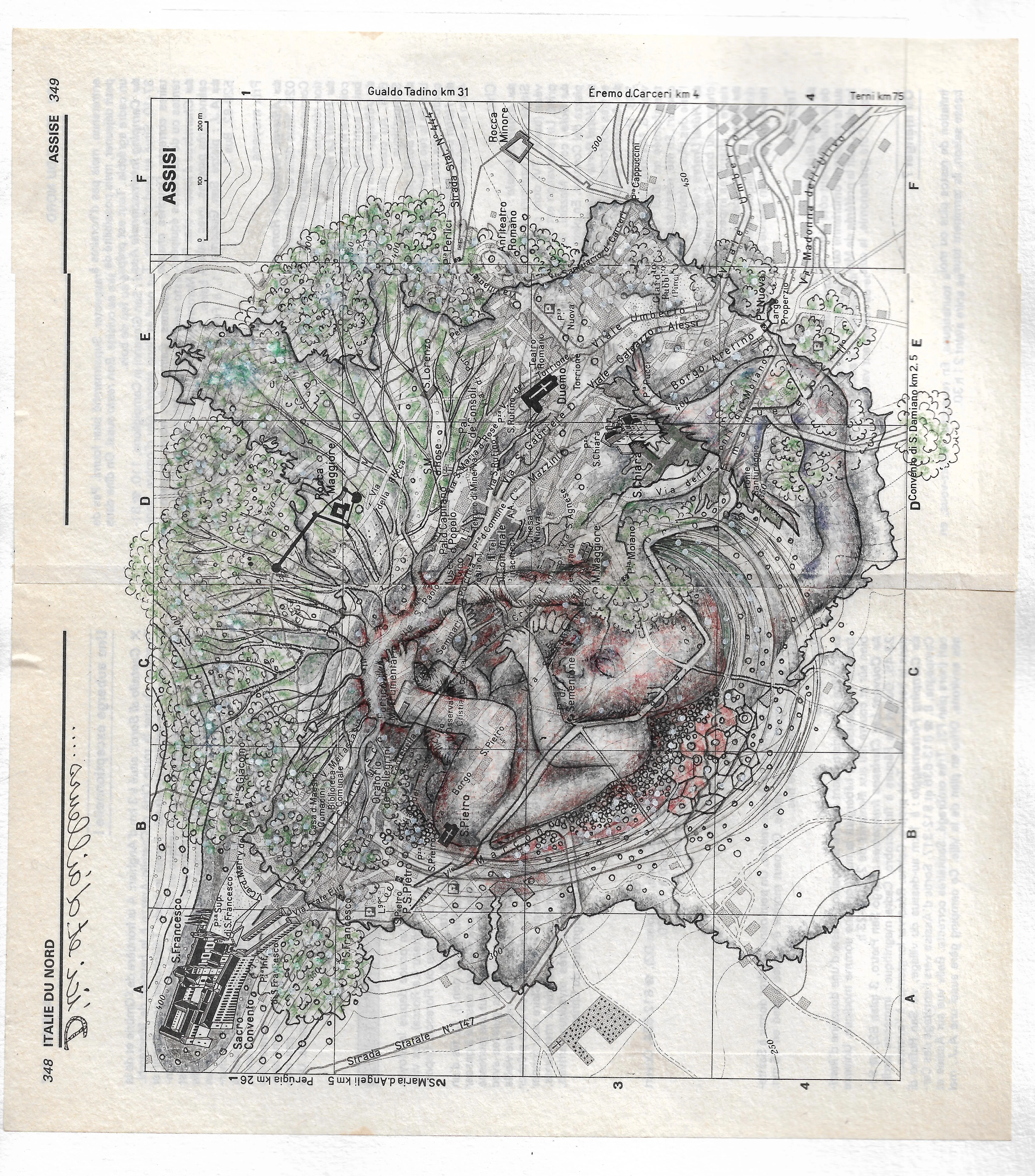 Géographie du vivant (d'ici et d'ailleurs)