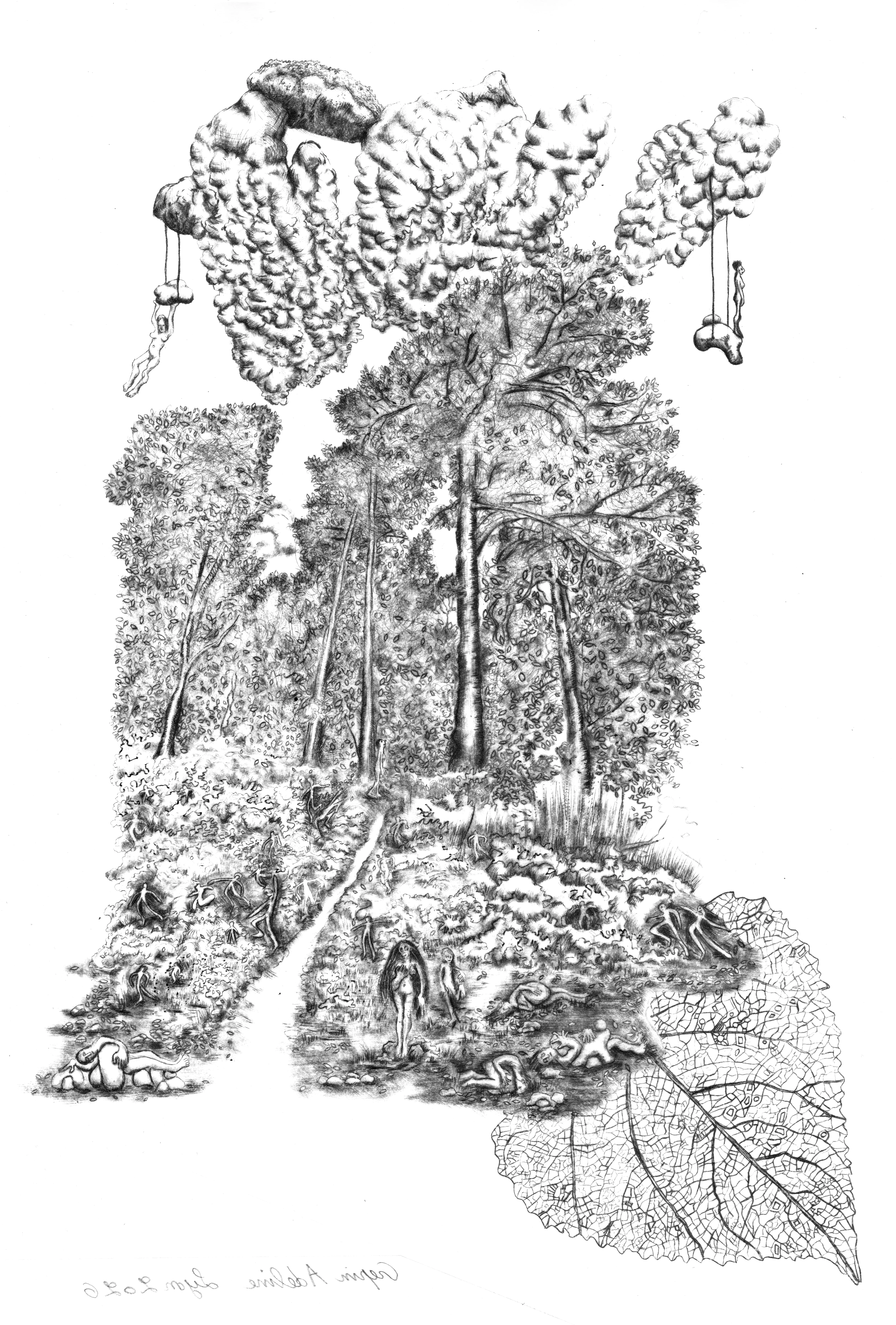 L'oree